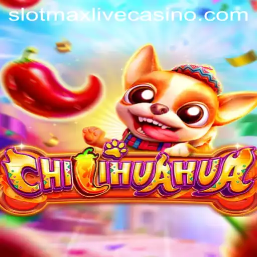 Exploring the World of CHILIHUAHUA: An Exciting Slotmax Adventure
